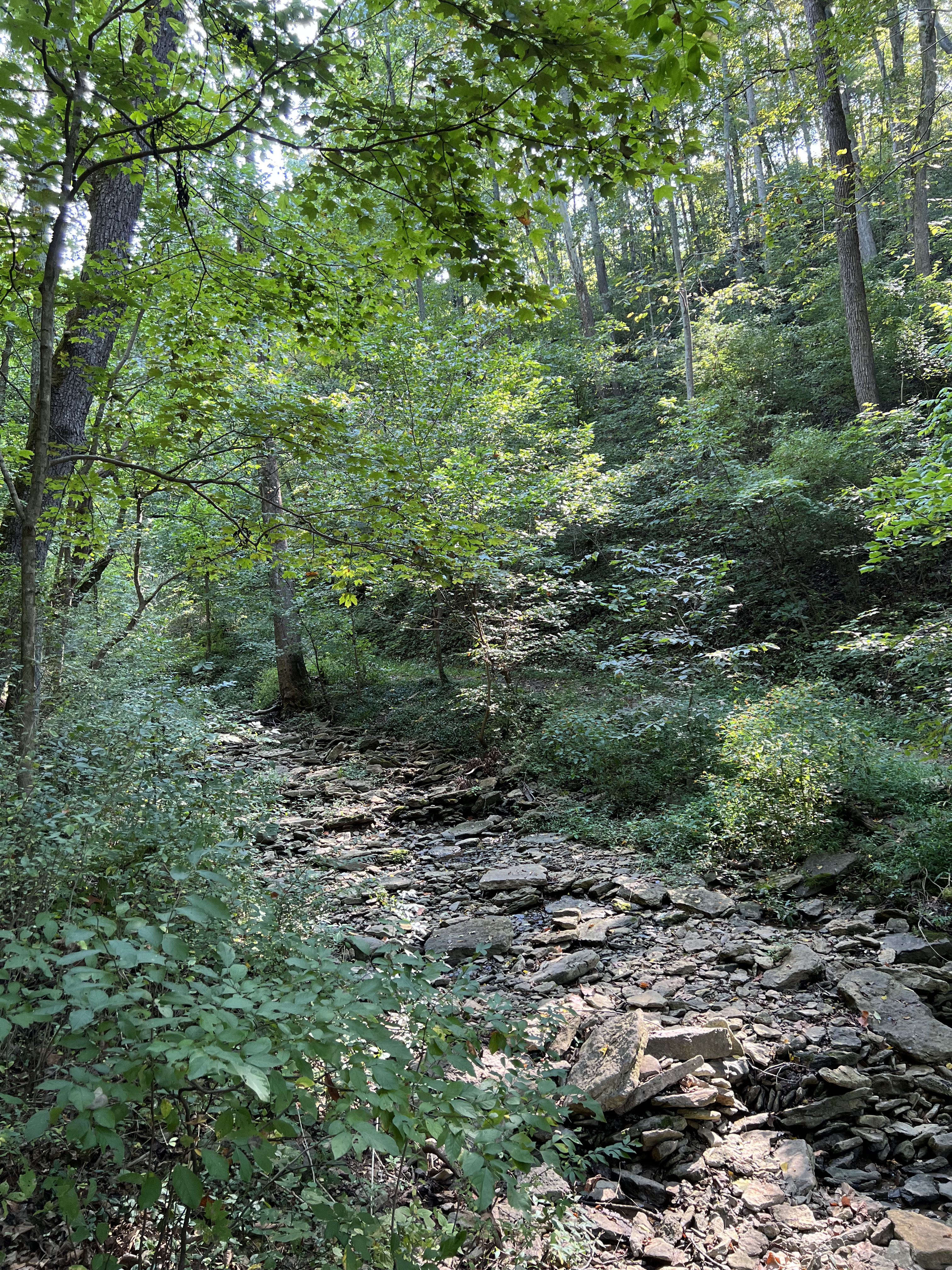 ./2023/12 - Kentucky/IMG_0139.jpg